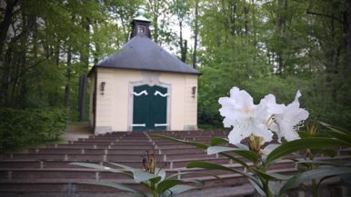 Dresden-Grosser-Garten-Baenke-Buehne-386x217