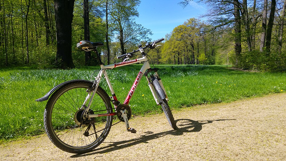 Dresden Grosser Garten Weg Fahrrad