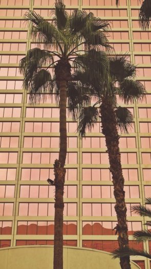 Las-Vegas-Hotel-Flamingo-Palmen-Fassade-295x524