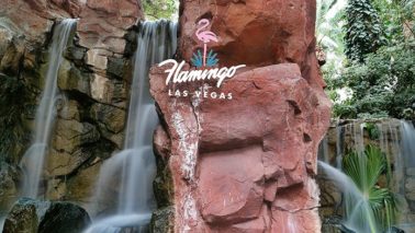 Las-Vegas-Hotel-Flamingo-Wasserfall-378x213