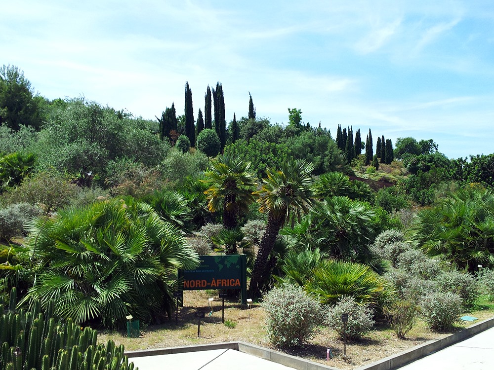 Botanischer Garten Barcelona Nordafrika