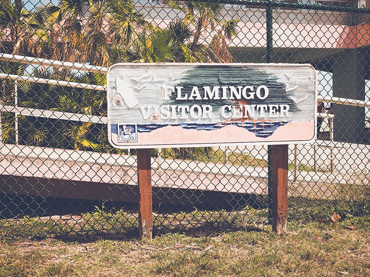 Flamingo-Ort-Everglades-Florida-7