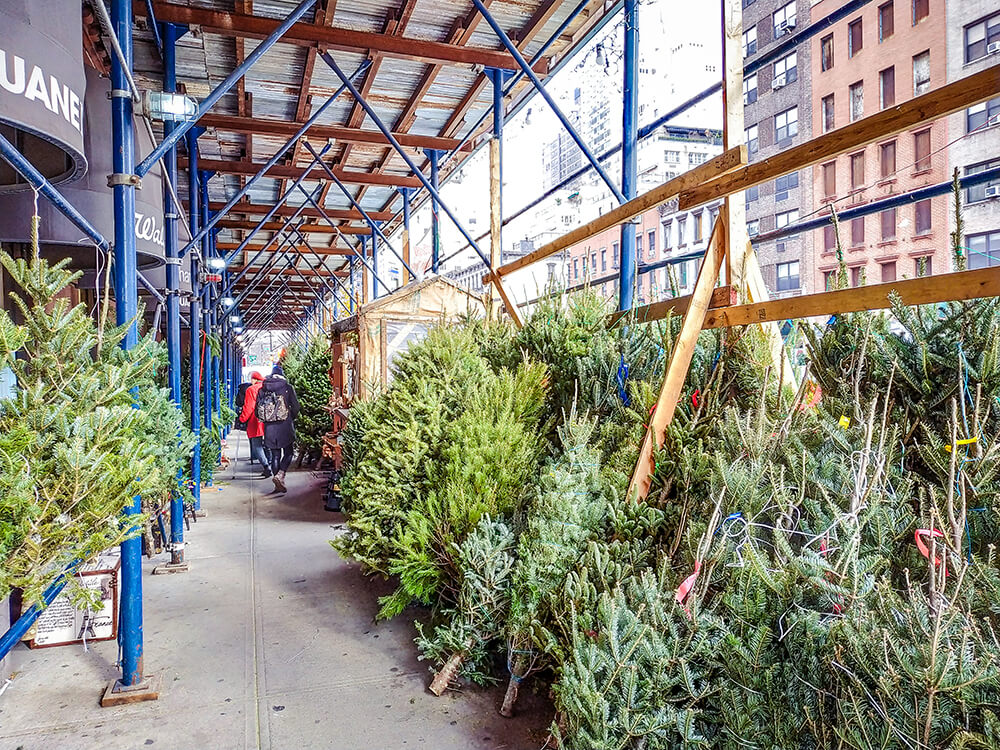 USA-New-York-Weihnachten-Winter-Weihnachtsbaumverkauf