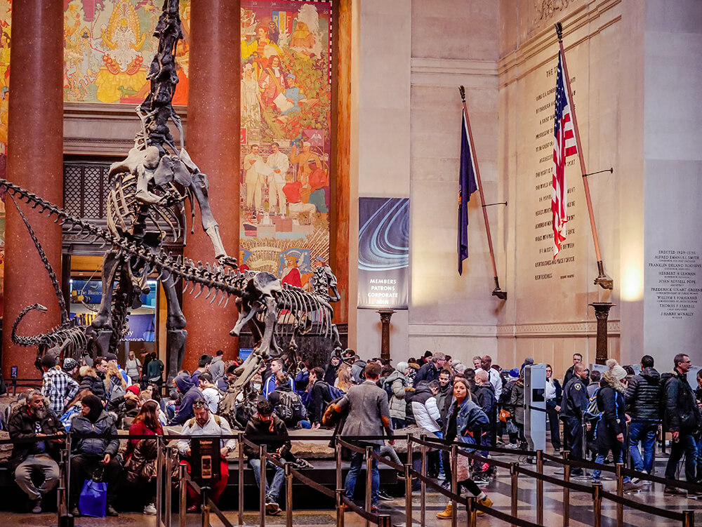 New-York-American-Museum-of-Natural-History-28
