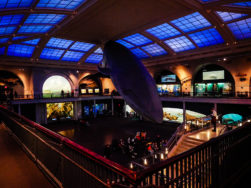 New-York-American-Museum-of-Natural-History-8-251x188